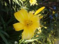 /album/bildgalleri/nya-bilder-juni-2015-m-m-179-jpg/